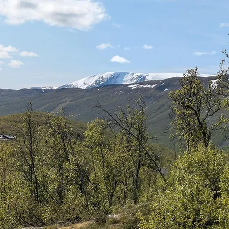 Myrland Aparthotel Hovet