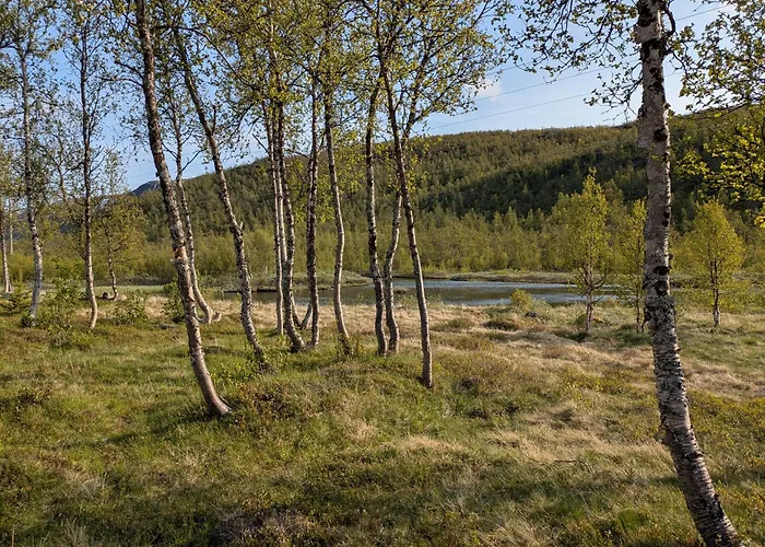 Myrland