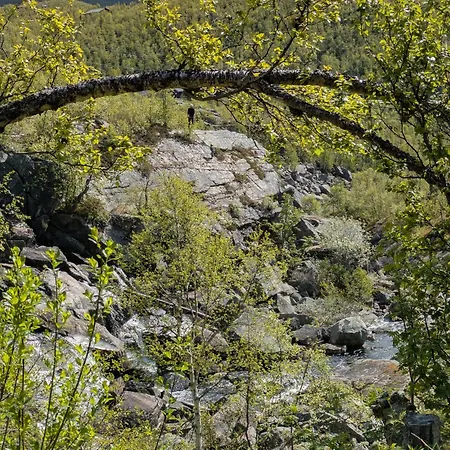 شقة فندقية Myrland